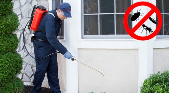 Çağlayancerit Kene İlaçlama böcek ilaçlama ve haşere kontrolü — ilaclama-tr.com
